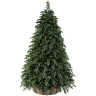 Новогодняя пихта TRIUMPH TREE, Прелестная, 185 см, зеленая 73362